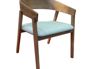 Noosa Arm Chair with Cushion