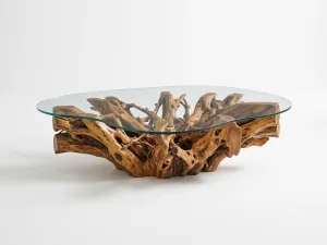 tertuju teak root coffee table furniture with glass top