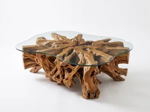 tertuju teak root coffee table furniture with glass top